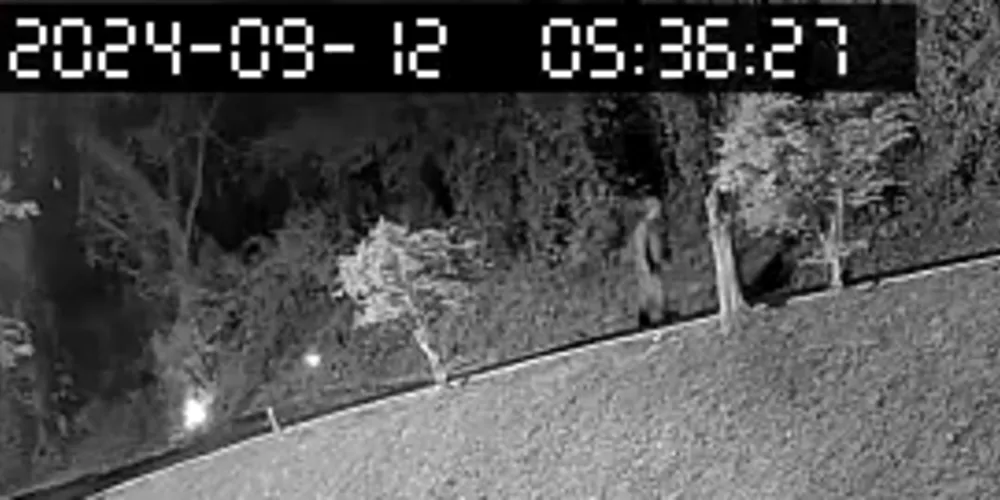 O suspeito foi interrogado, tendo confessado que realmente ateou fogo no local