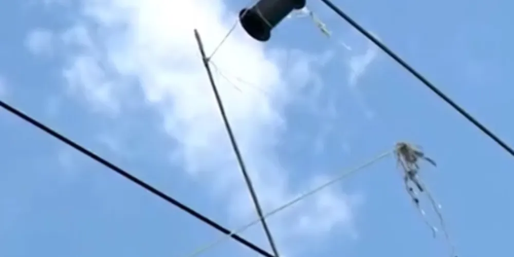 Ele estava transitando pela avenida quando teve o pescoço cortado