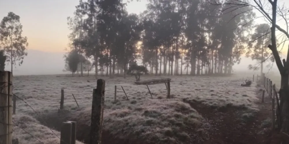 Houve a confirmação de geadas em vários setores do Paraná