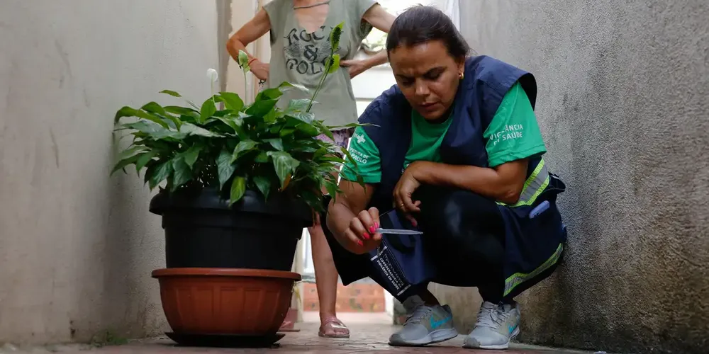 Há ainda 2.161 mortes em investigação