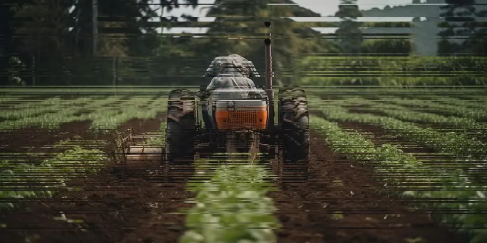 La Ninã liga o alerta para produtores rurais do Paraná