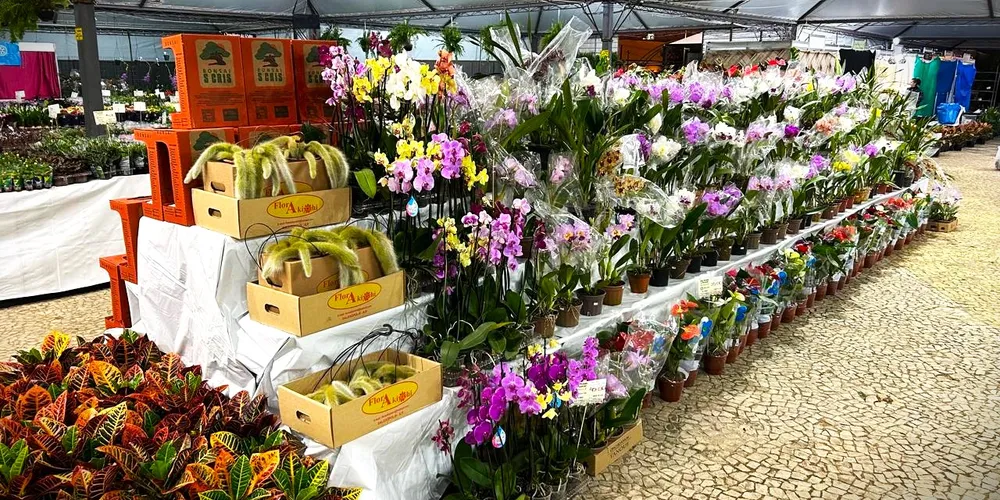 Foram dez dias de evento no Parque Ambiental