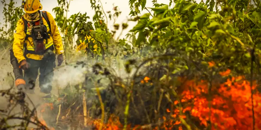 Incêndios ambientais também têm acontecido em Ponta Grossa