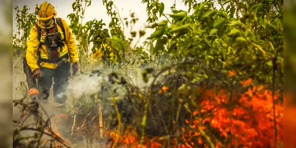 Incêndios ambientais também têm acontecido em Ponta Grossa