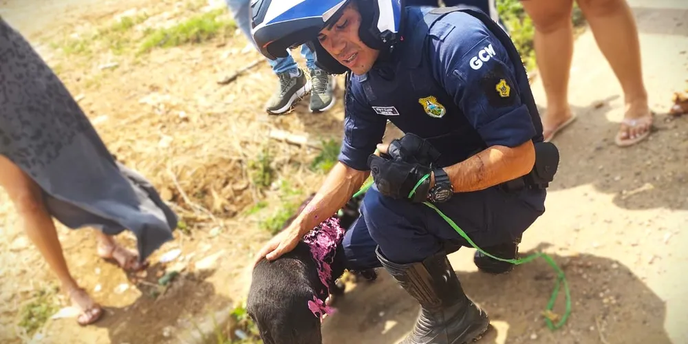 Animal foi resgatado por um agente de segurança