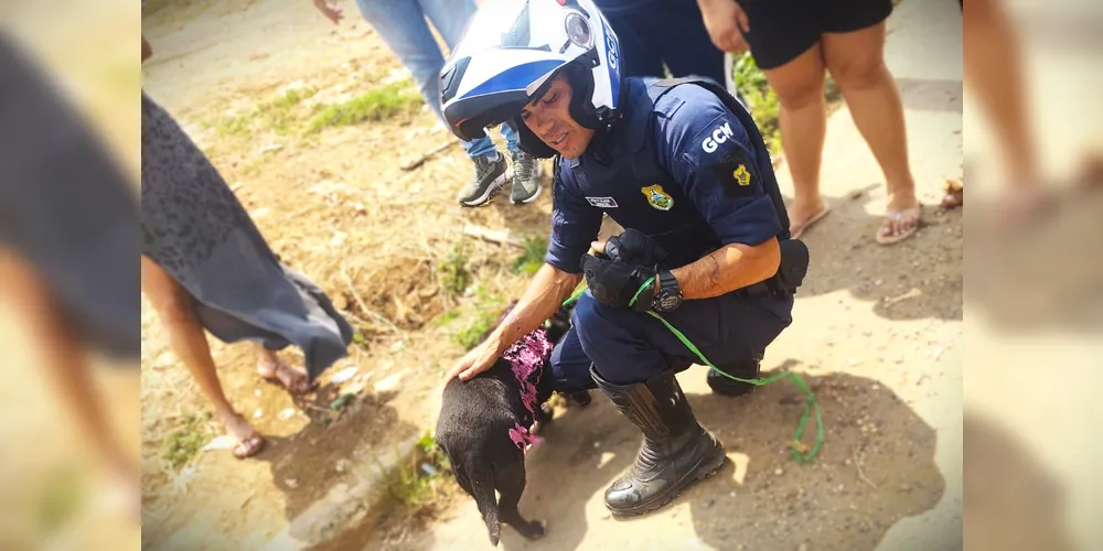 Animal foi resgatado por um agente de segurança