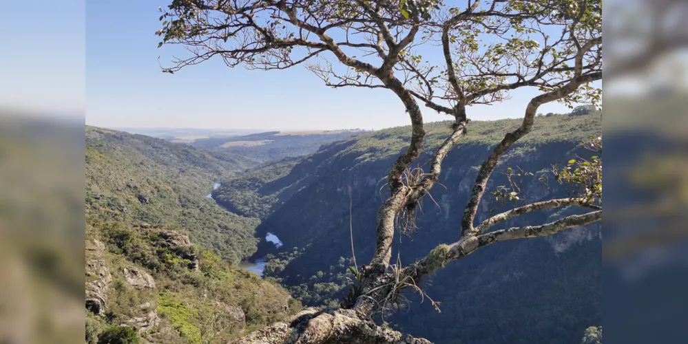 Parque Estadual do Guartelá vai oferecer uma visita guiada às trilhas com pinturas rupestres