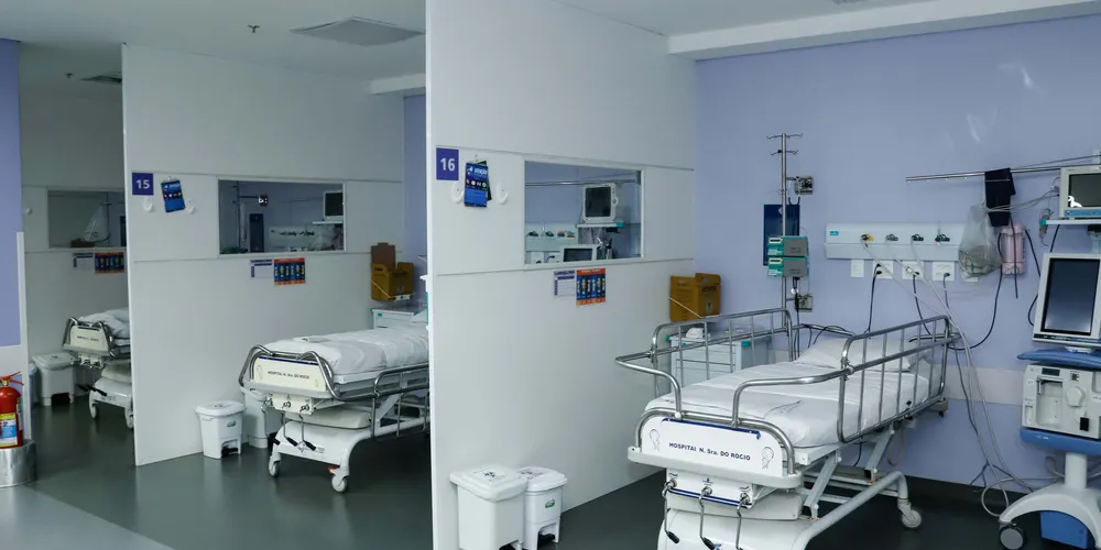 Aulas estão previstas para iniciar em 12 de setembro de 2024