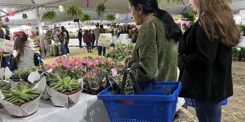 Como nos anos anteriores as fotos poderão ser capturadas na Expo&Flor