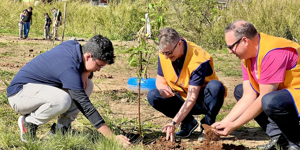 Ponta Grossa receberá mais 200 mudas de árvores frutíferas.