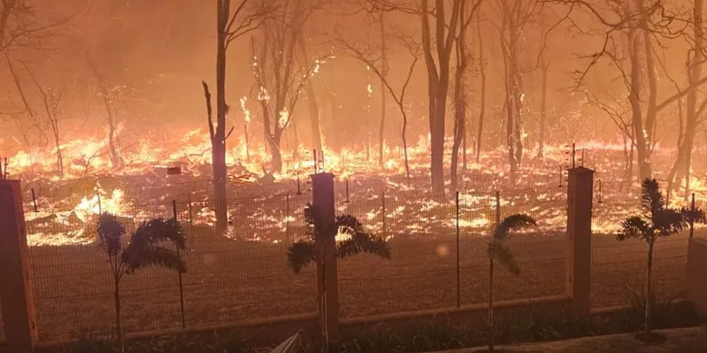 Integrantes do governo suspeitam que boa parte dos incêndios possa ter sido provocada de forma criminosa