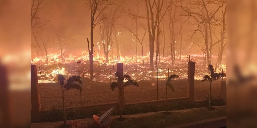 Integrantes do governo suspeitam que boa parte dos incêndios possa ter sido provocada de forma criminosa