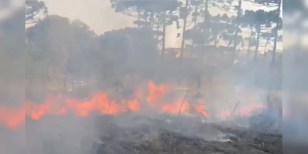 Maior parte das queimadas em terrenos é provocada pela limpeza com uso de fogo