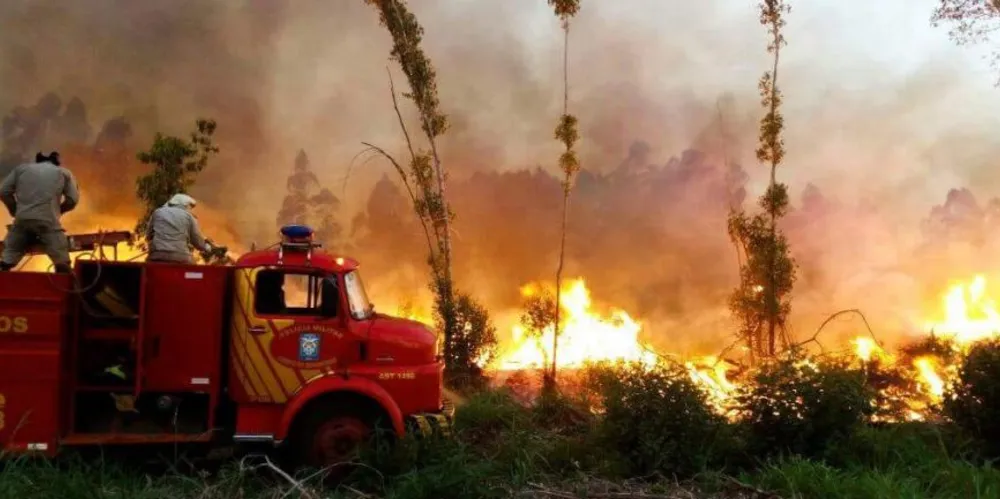 Ano de 2024 é um dos que houve mais incêndios no Paraná