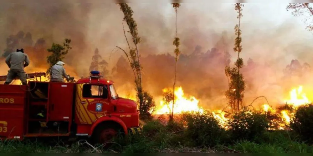 Ano de 2024 é um dos que houve mais incêndios no Paraná