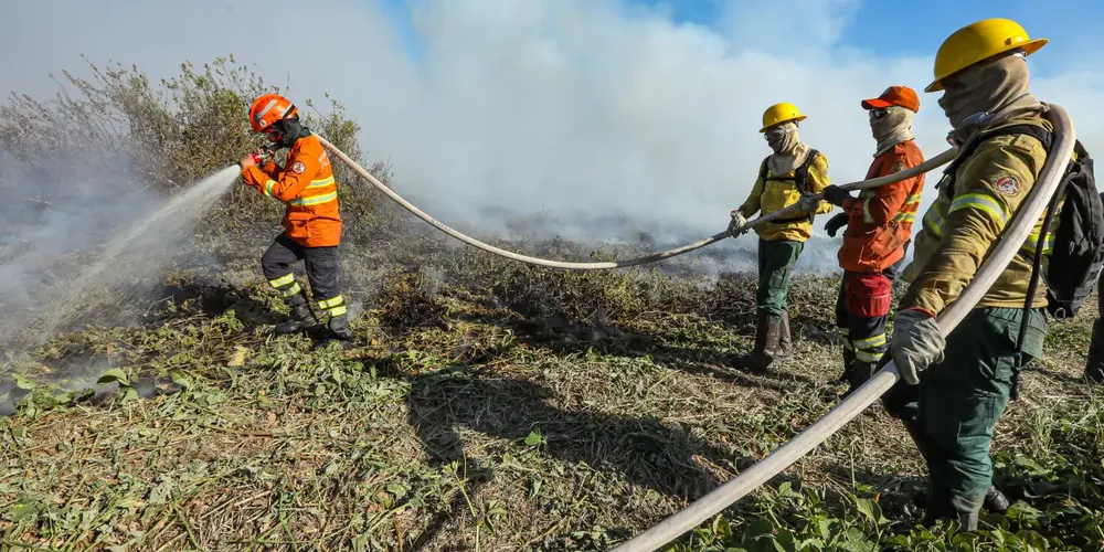 Foram registrados 112 incêndios nas últimas semanas na região do Pantanal