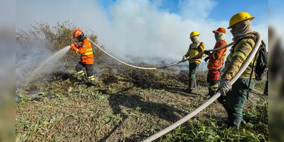 Foram registrados 112 incêndios nas últimas semanas na região do Pantanal