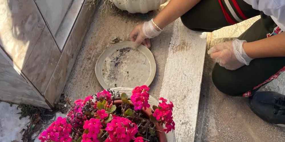 Saída de campo contou com limpeza de possíveis focos em cemitério na comunidade