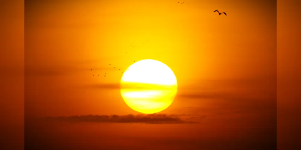 Altas temperaturas vêm sendo registradas nos Campos Gerais