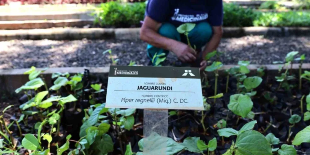 Desde 2004, a empresa apoia essa estratégia que contribui, também, para o desenvolvimento econômico das regiões