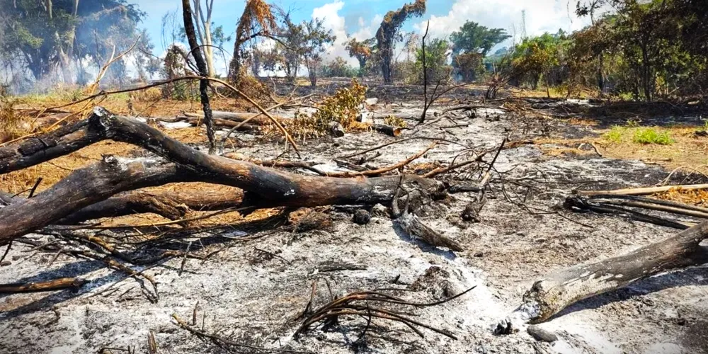 Eventos climáticos extremos deverão ser mais presentes no País