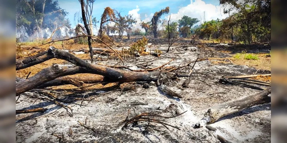 Eventos climáticos extremos deverão ser mais presentes no País