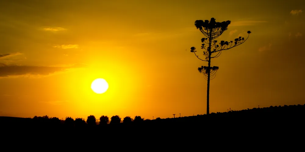 Temperaturas variam entre 18ºC e 28ºC ao longo do dia