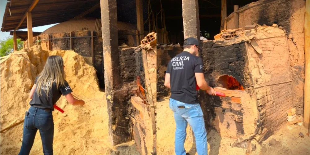 Agentes incineraram a droga nesta sexta-feira (6)