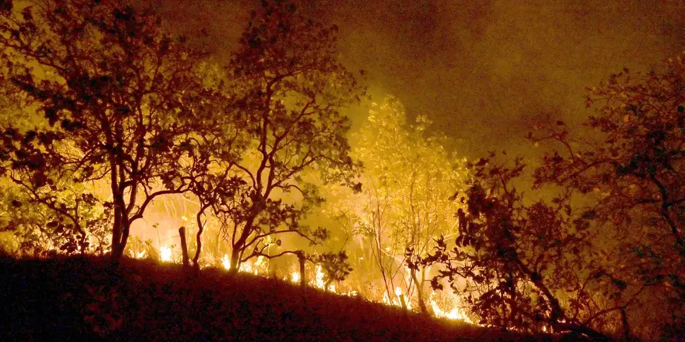 Amazônia foi a região mais afetada, concentrando 49% das áreas atingidas pelo fogo