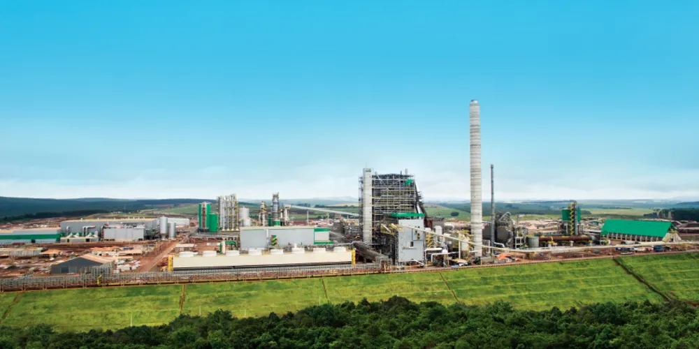 Para atender à alta demanda dos serviços, boa parte dos trabalhadores contratados é da região