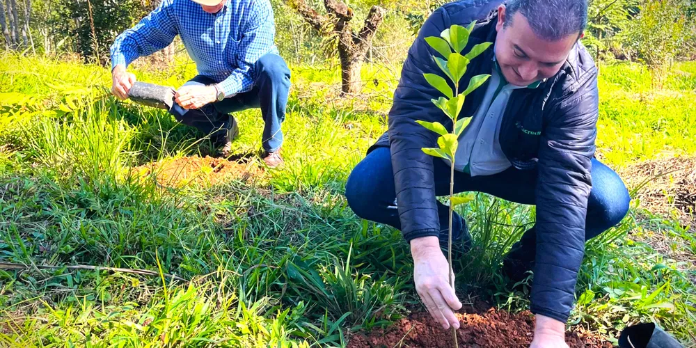 Instituição financeira cooperativa participou do 'Dia de Cooperar (Dia C)'