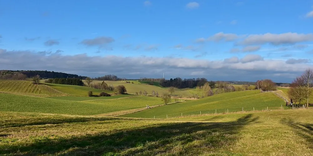 Os valores da Terra Nua são definidos com base na aptidão agrícola do imóvel