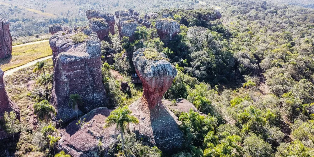 O parque é o destino ideal para famílias que buscam descanso, lazer e conexão com a natureza