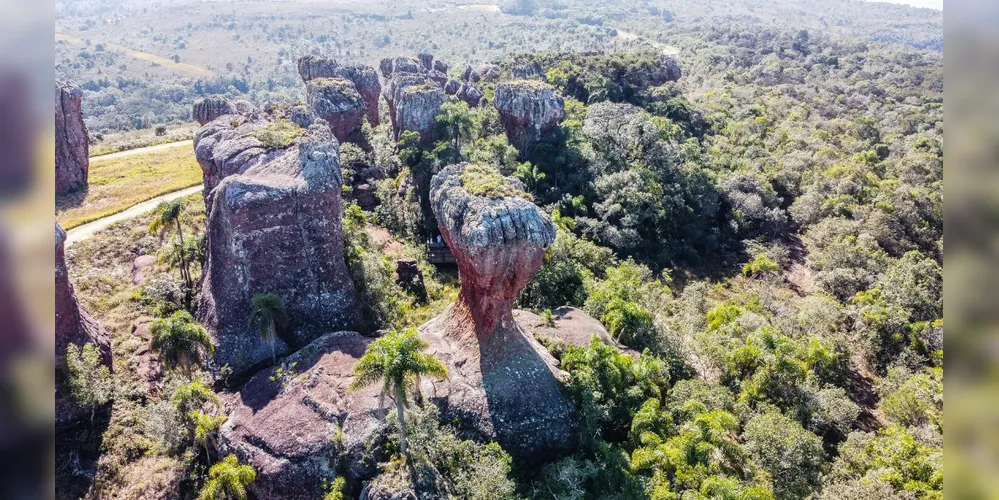 O parque é o destino ideal para famílias que buscam descanso, lazer e conexão com a natureza