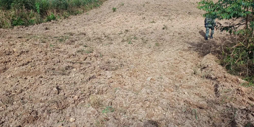 O homem responderá criminalmente pelo dano