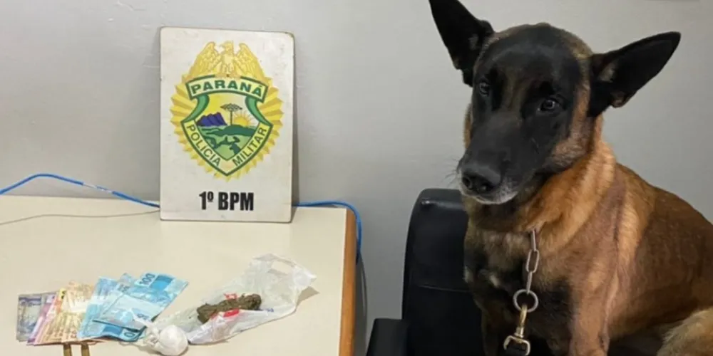Na oportunidade, um homem foi detido, sendo apreendido 24 g de cocaína, 54 g de maconha e duas munições cal. 38
