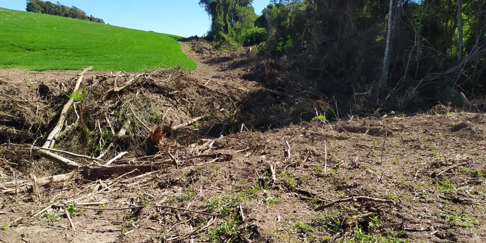 Caso foi registrado em Arapoti