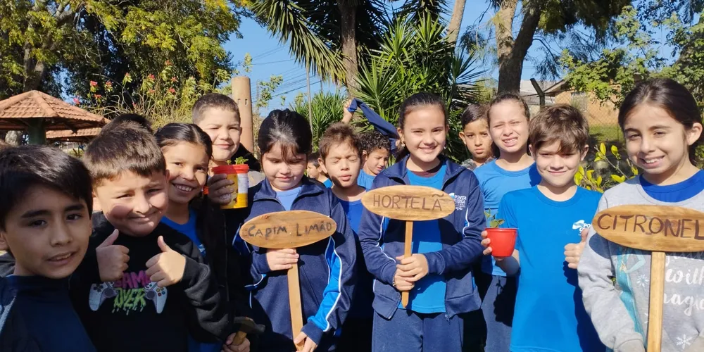 Através das atividades, a classe pode se empenhar de forma prática no combate à dengue.