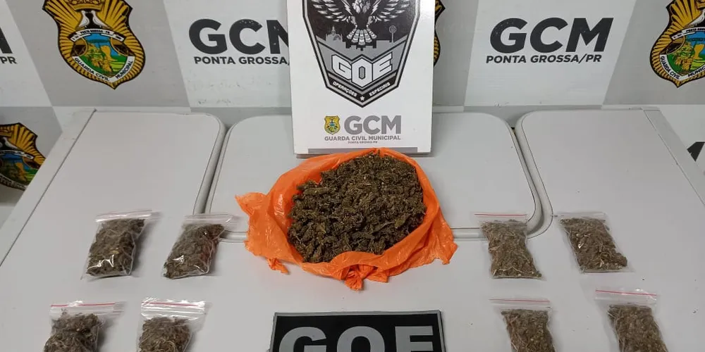Foram apreendidas 270 gramas de maconha