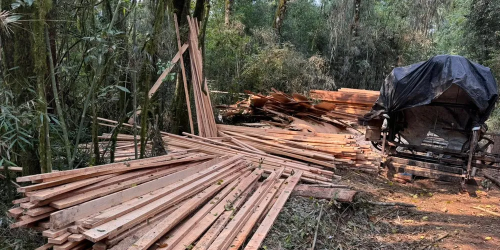 O crime foi constatado em Prudentópolis