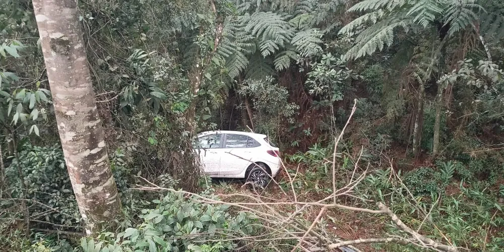 Veículo saiu da pista na margem direita