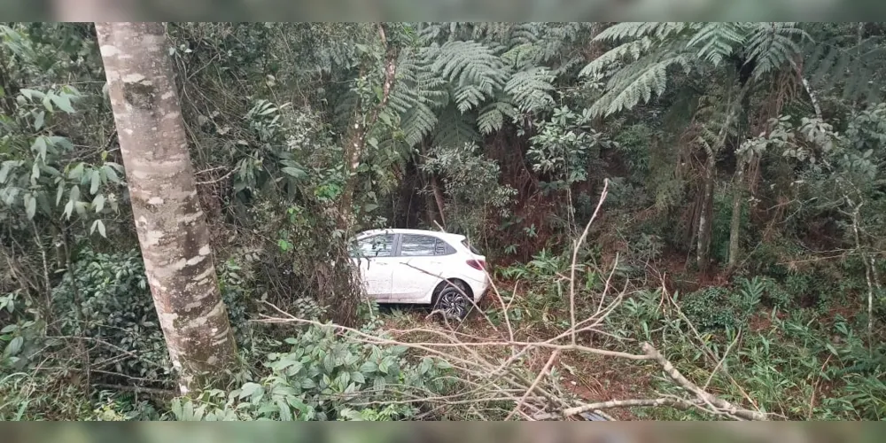 Veículo saiu da pista na margem direita