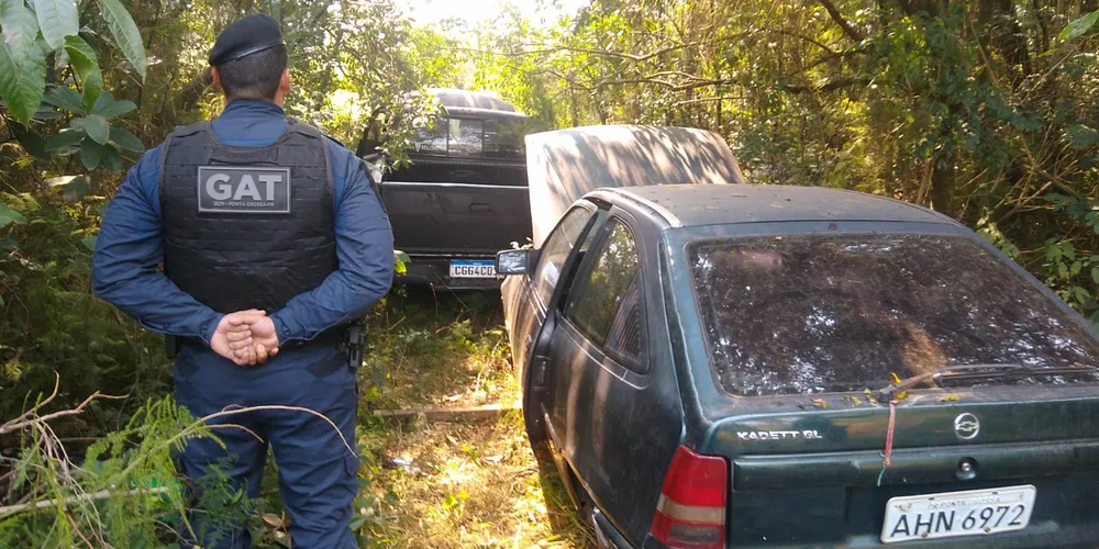 Carros estavam em uma mata quando foram recuperados