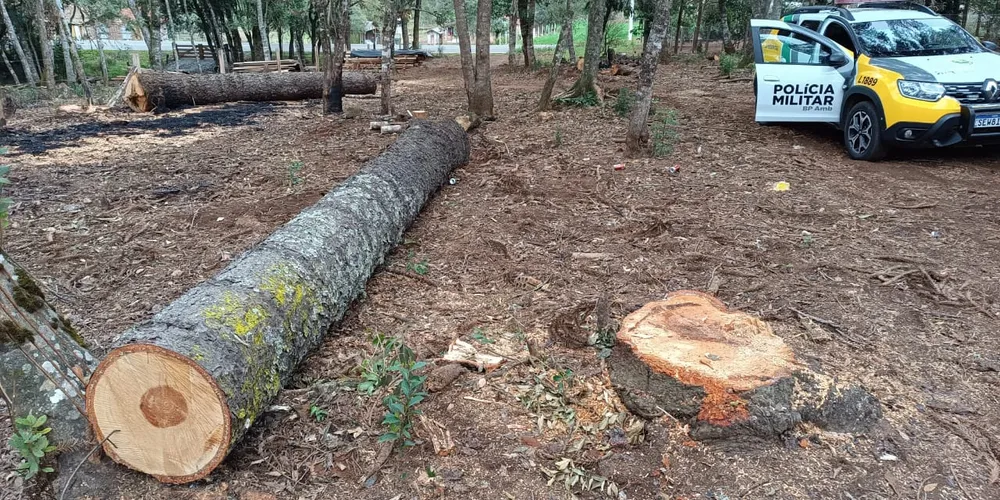 Os proprietários foram multados pelo crime
