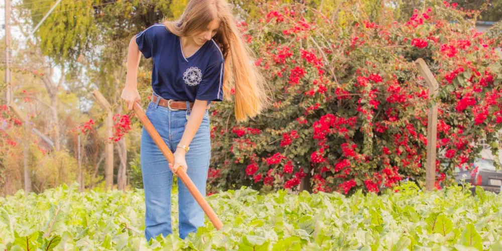 O curso de técnico em Agropecuária está com inscrições abertas.