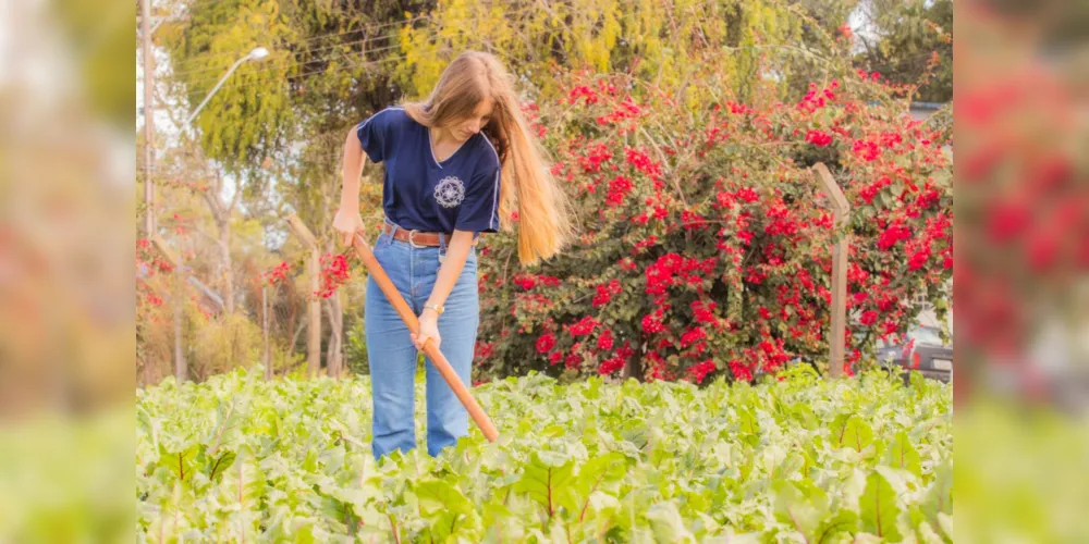 O curso de técnico em Agropecuária está com inscrições abertas.