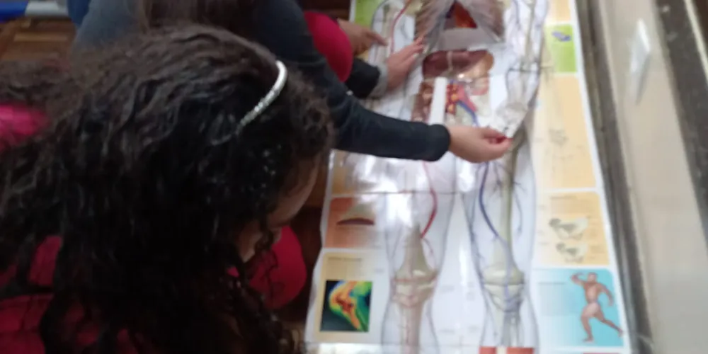 O trabalho envolveu atividades teóricas e práticas