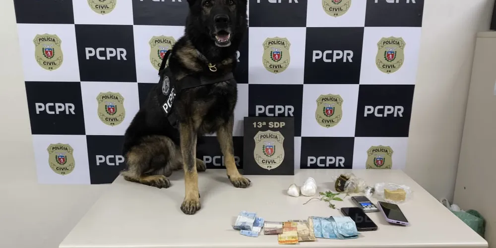A ação foi realizada com o apoio de um cão farejador, que identificou a localização das drogas