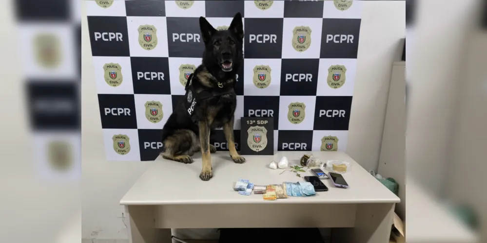 A ação foi realizada com o apoio de um cão farejador, que identificou a localização das drogas