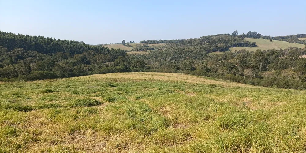 Proprietário foi multado em R$ 52 mil